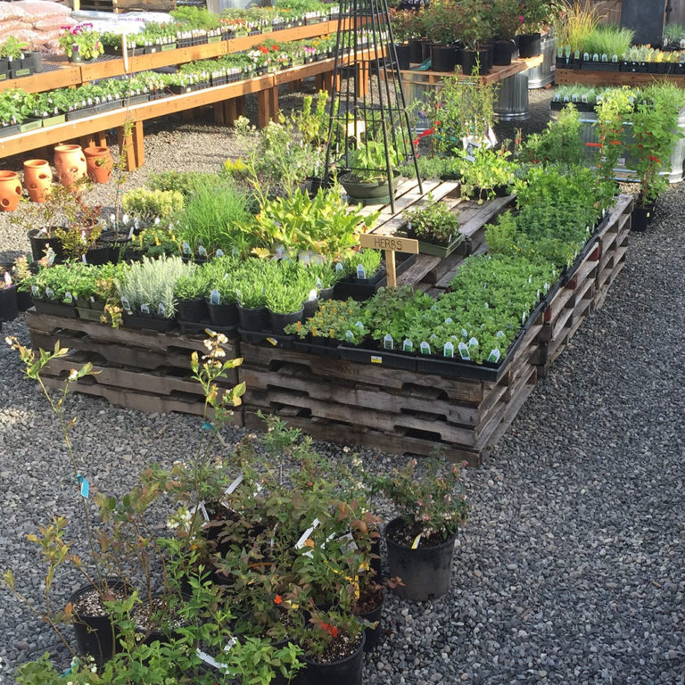 Garden Center Woodstock Hardware